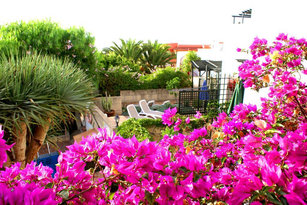 Casa San Miguel Appartement San Miguel de Abona Buitenkant foto